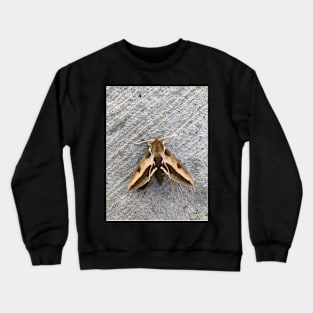 Moth Crewneck Sweatshirt